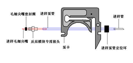 原子熒光連續(xù)進樣系統(tǒng)結構示意圖